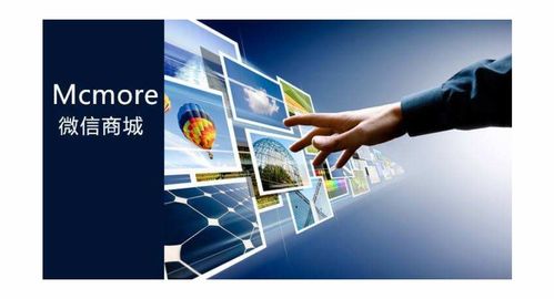 數碼電腦企業商情與信息技術發展趨勢分析